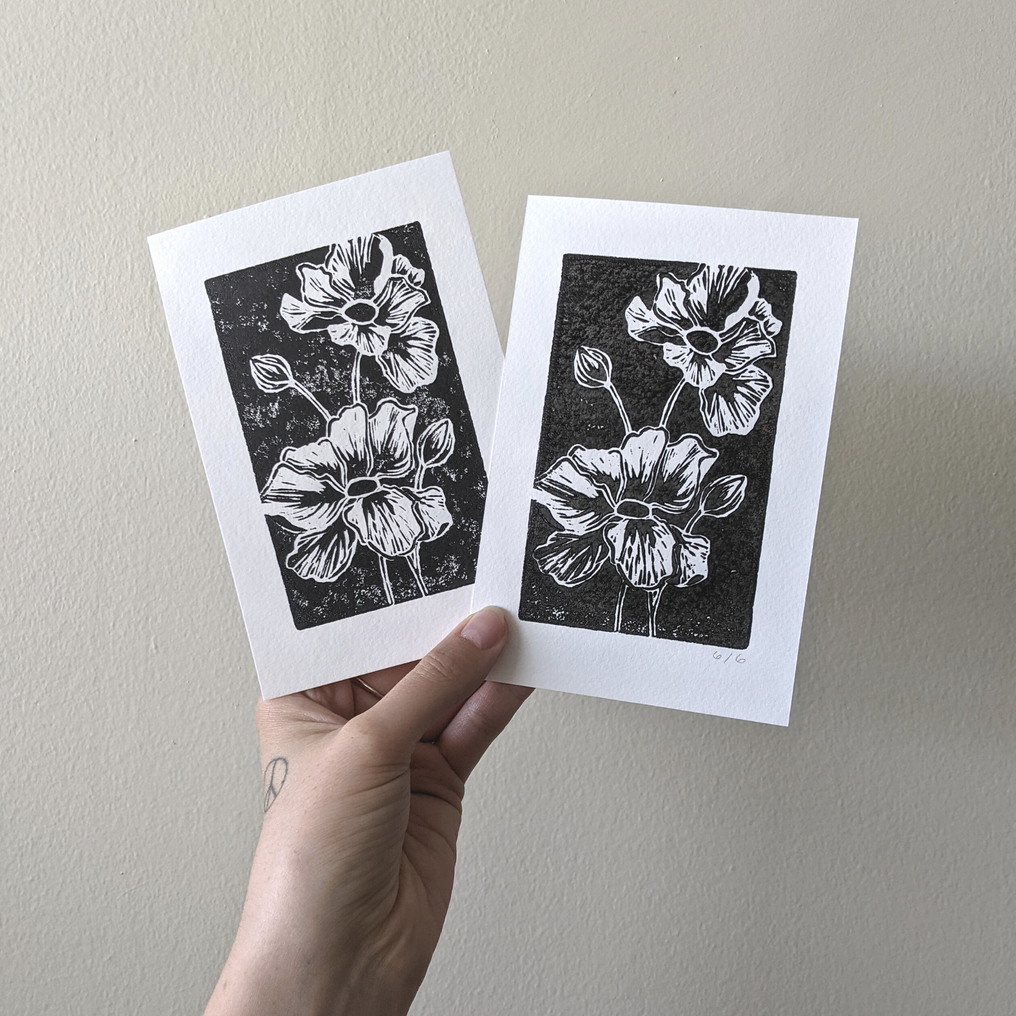 Camellia / Flower Print