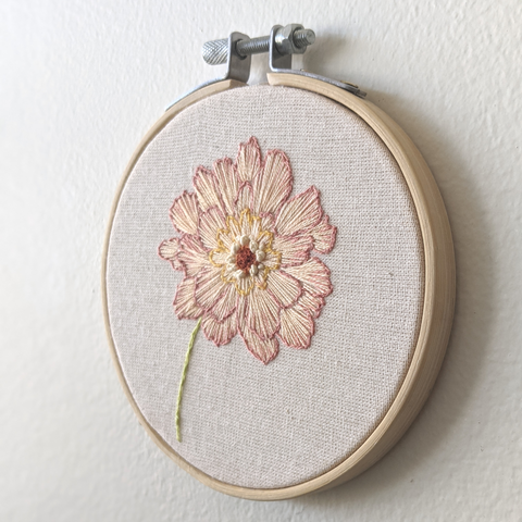 Zinnia, Baby! / 4"