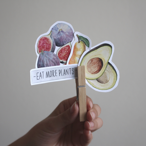Sticker Pack / Fruit